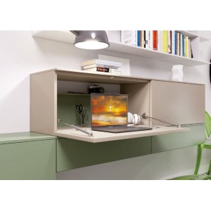 PISTONE A GAS PER CALATOIA... 2