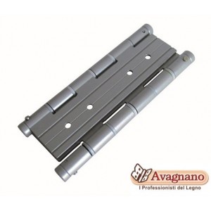 COPPIA DI CERNIERE A MOLLA DOPPIA ARGENTO - DSC