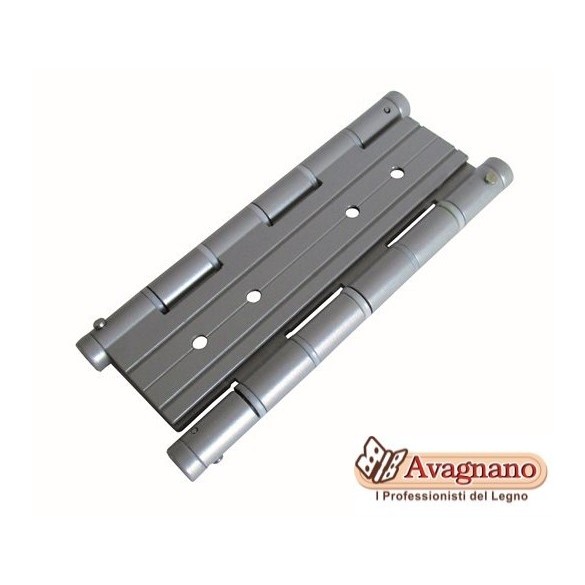 COPPIA DI CERNIERE A MOLLA DOPPIA ARGENTO - DSC