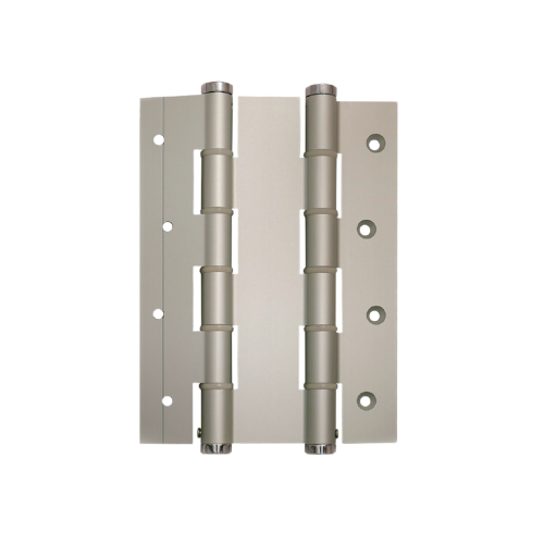 COPPIA DI CERNIERE A MOLLA DOPPIA ARGENTO - DSC