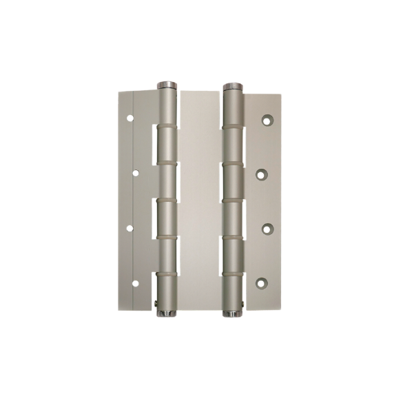 COPPIA DI CERNIERE A MOLLA DOPPIA ARGENTO - DSC