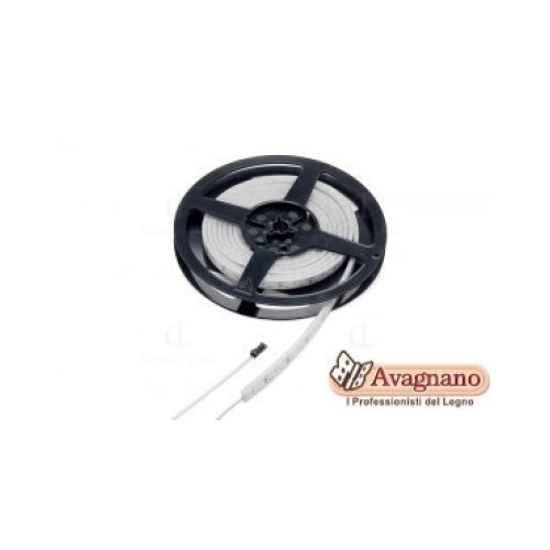 FLEXYLED SE H4 12VDC 12W NW M12, 3100 K - 250 CM